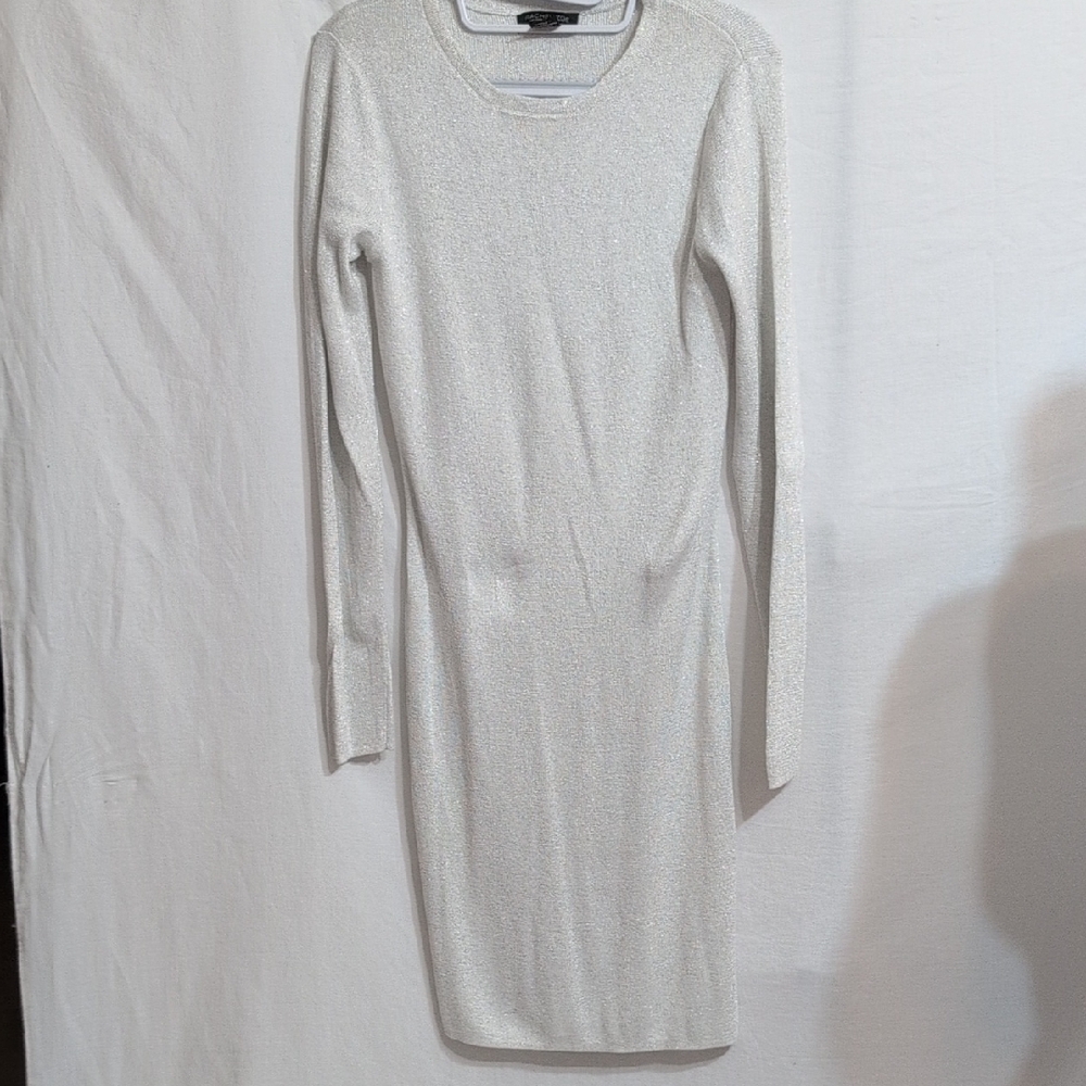 Rachel Zoe Shimmering Silver Long Sleeve Dress